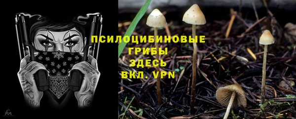 метадон Алзамай