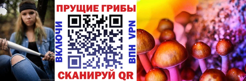 МЕГА tor  Нестеров  Псилоцибиновые грибы Magic Shrooms 